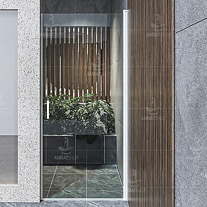 ������ ���� ��� ��� ���